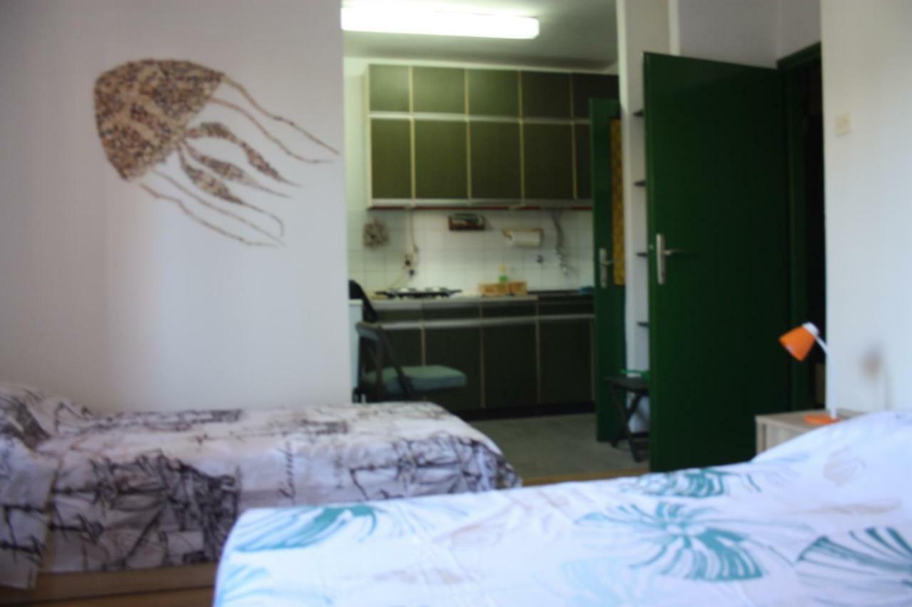Appartamento As Apartman Rovigno Esterno foto